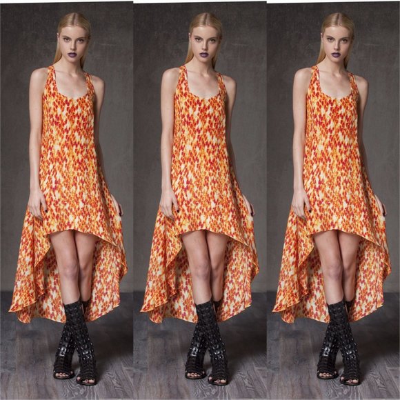 Alexis Dresses & Skirts - ALEXIS Silk Long Dress